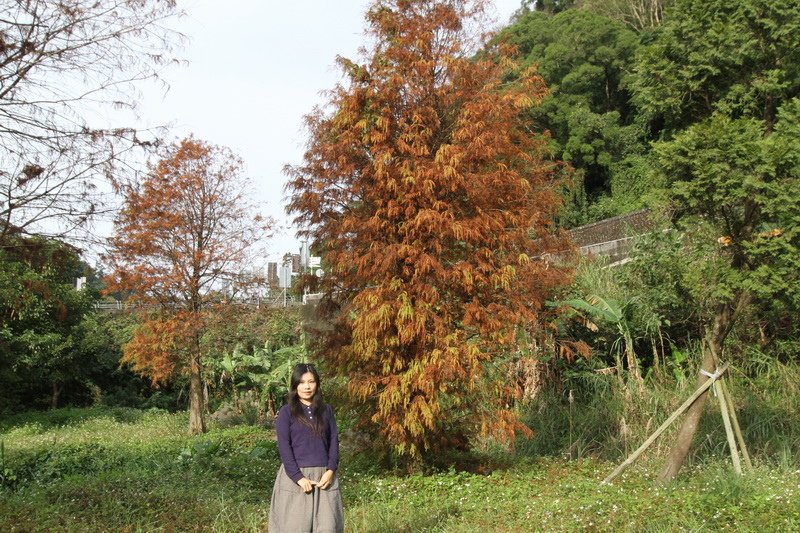 IMG_3566_調整大小.JPG