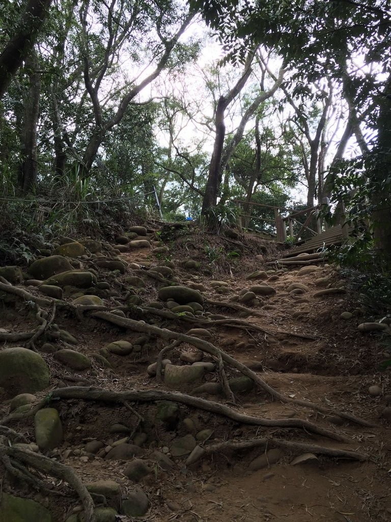 IMG_3465_調整大小.JPG