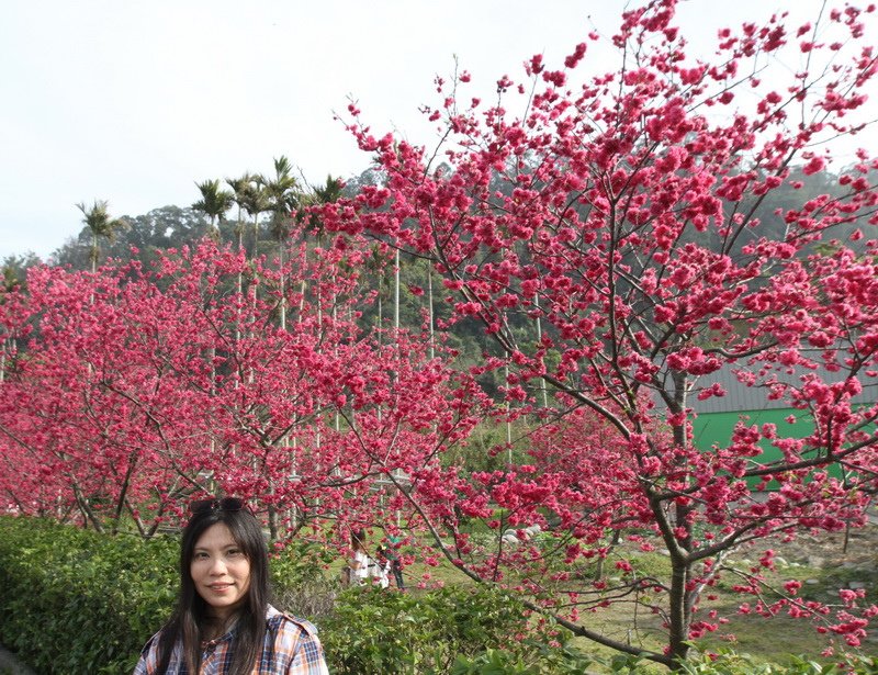 IMG_7508_調整大小.JPG