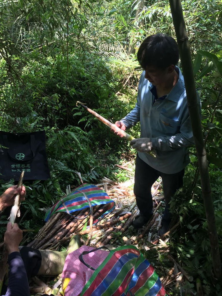 IMG_8425_調整大小.JPG