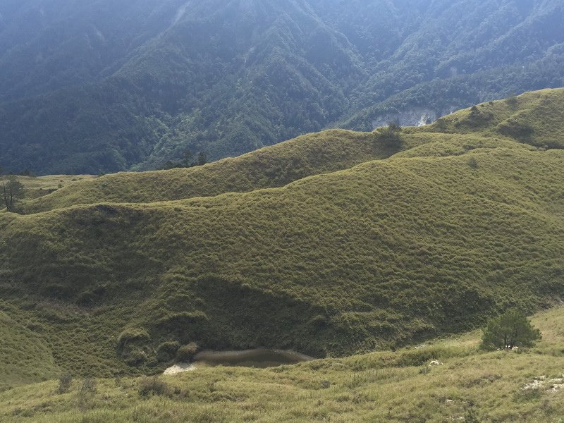 IMG_8698_調整大小.JPG