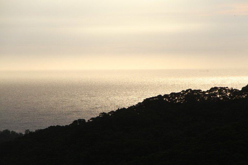 IMG_2676_調整大小.JPG