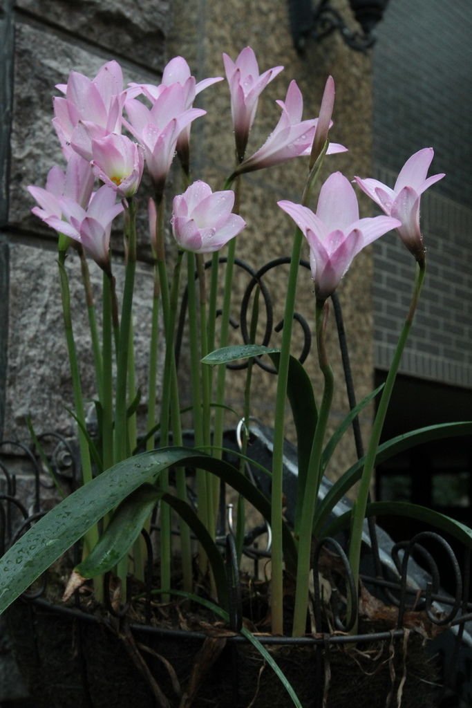 IMG_2761_調整大小.JPG