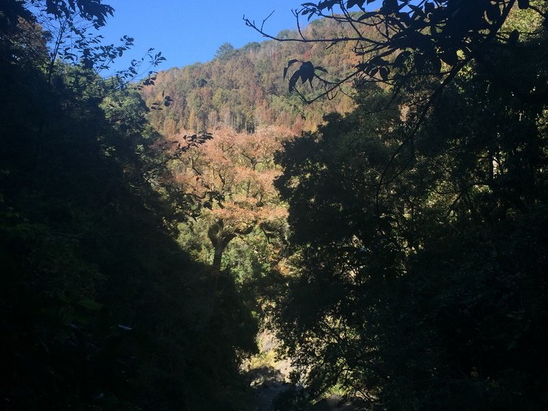 IMG_7380_調整大小.JPG