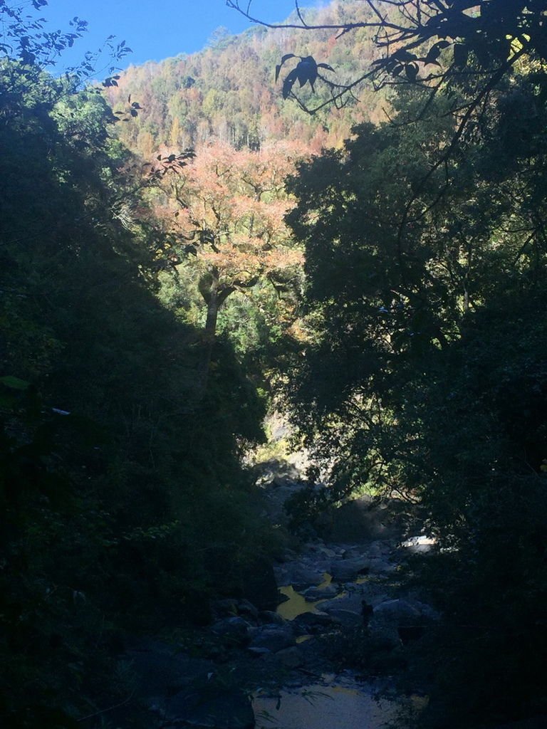 IMG_7381_調整大小.JPG