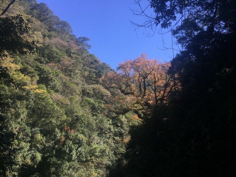 IMG_7384_調整大小.JPG