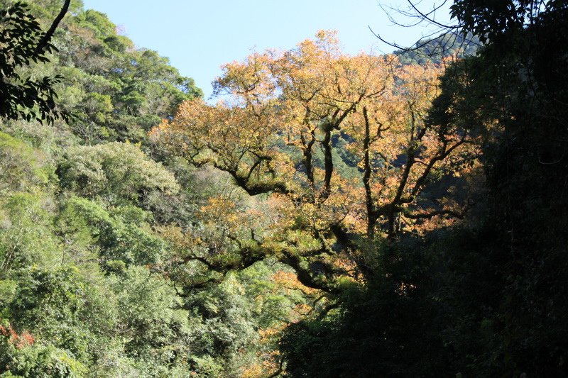 IMG_0288_調整大小.JPG