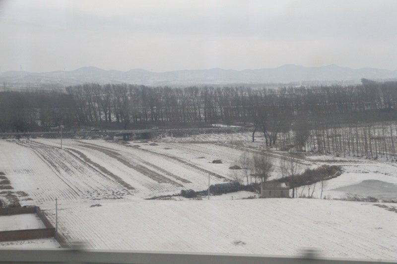 IMG_0878_調整大小.JPG