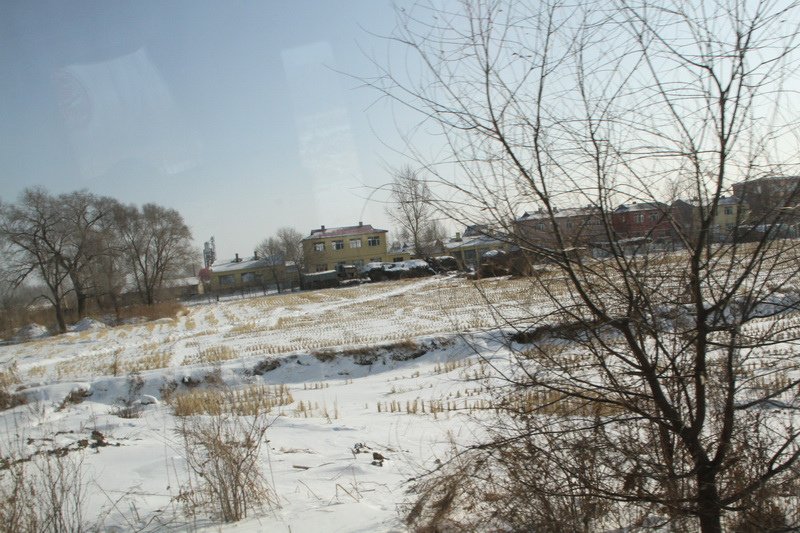 IMG_2394_調整大小.JPG