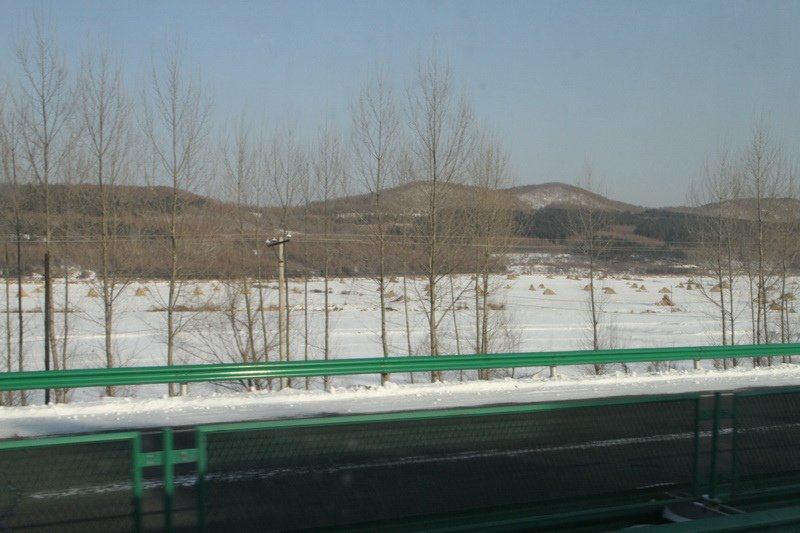 IMG_2446_調整大小.JPG