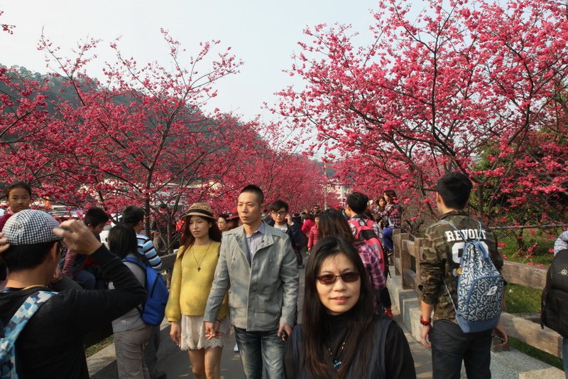 IMG_1077_調整大小.JPG