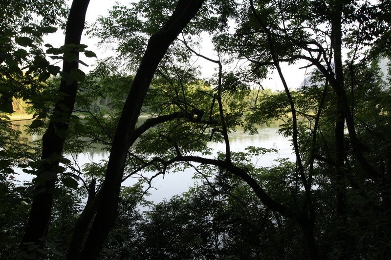 IMG_1078_調整大小.JPG