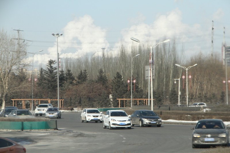 IMG_2223_調整大小.JPG
