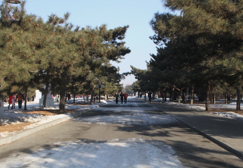 IMG_0136_調整大小.JPG