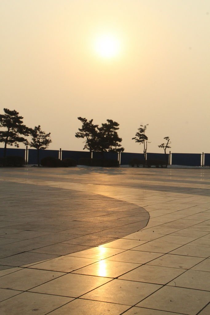IMG_0977_調整大小.JPG