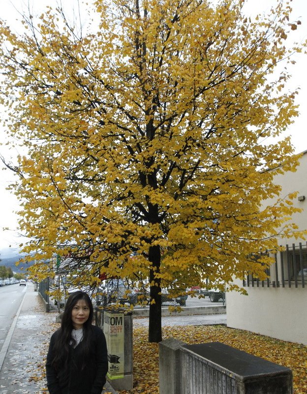 _MG_1600.JPGq_调整大小.JPG