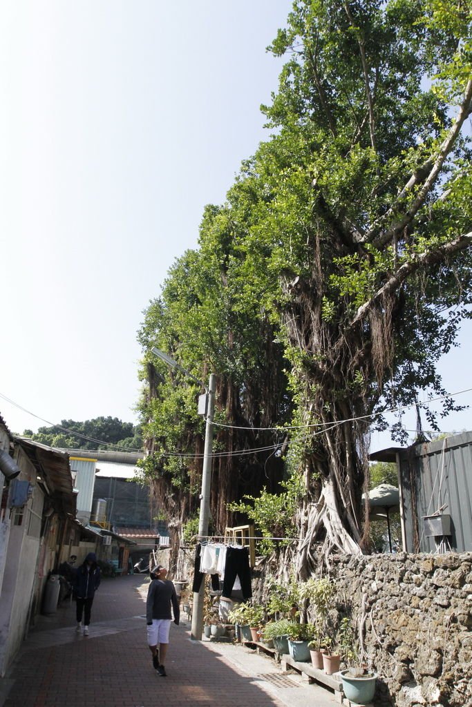 _MG_0533_调整大小.JPG