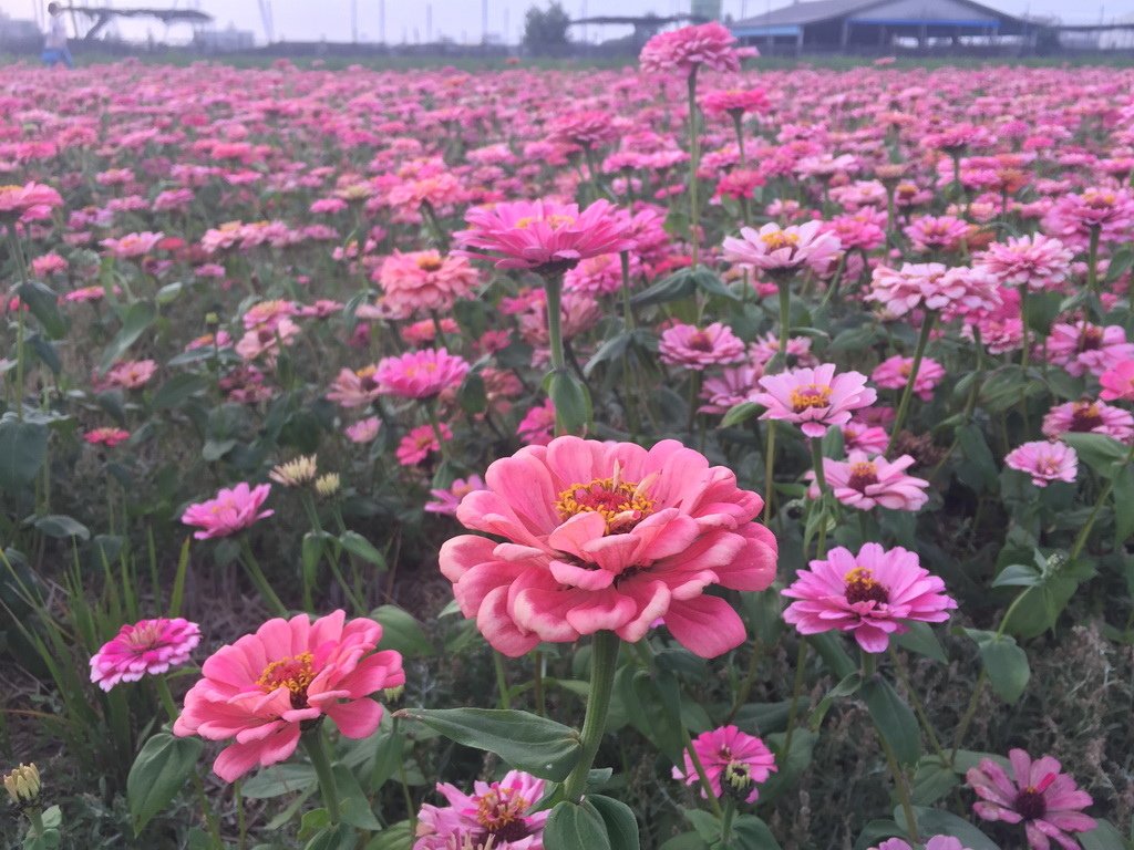 IMG_1248_調整大小.JPG