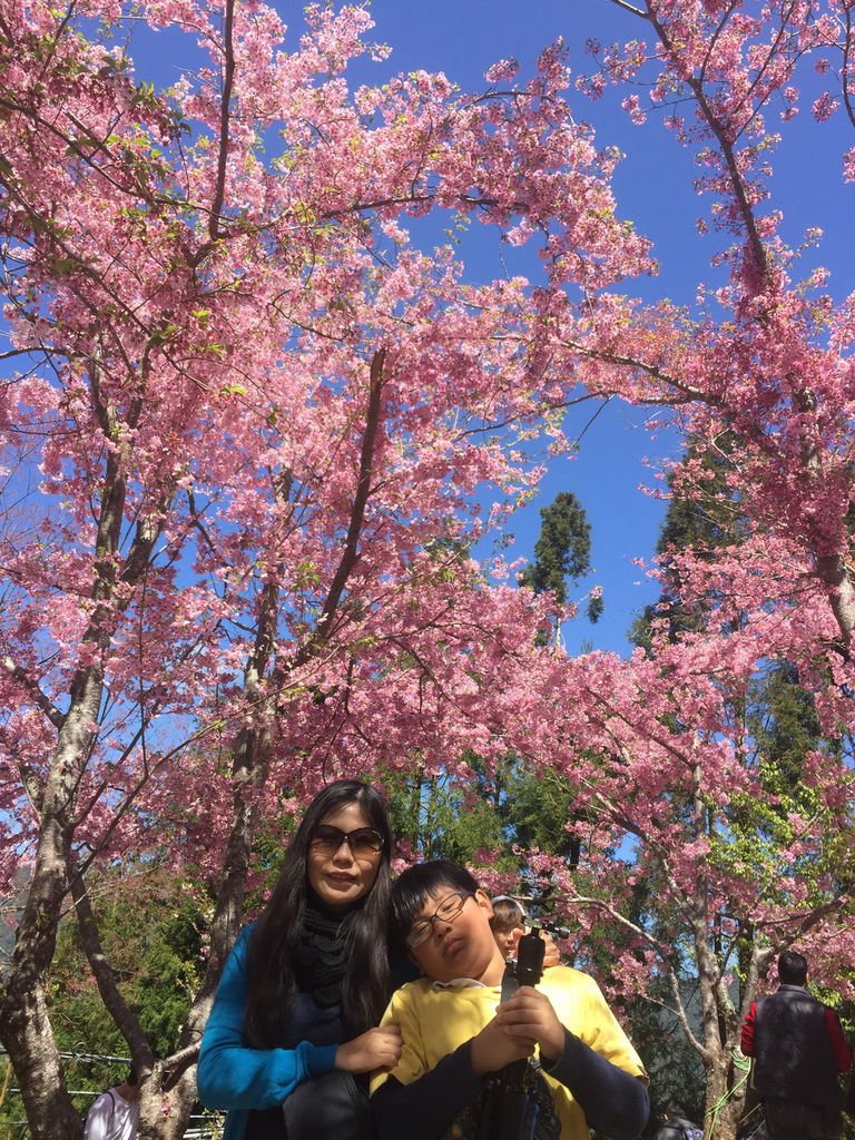 IMG_3519_調整大小.JPG