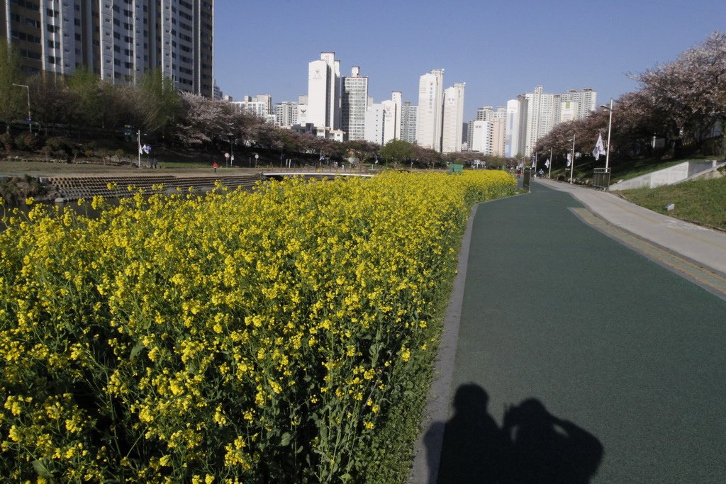 _MG_0975_調整大小.JPG