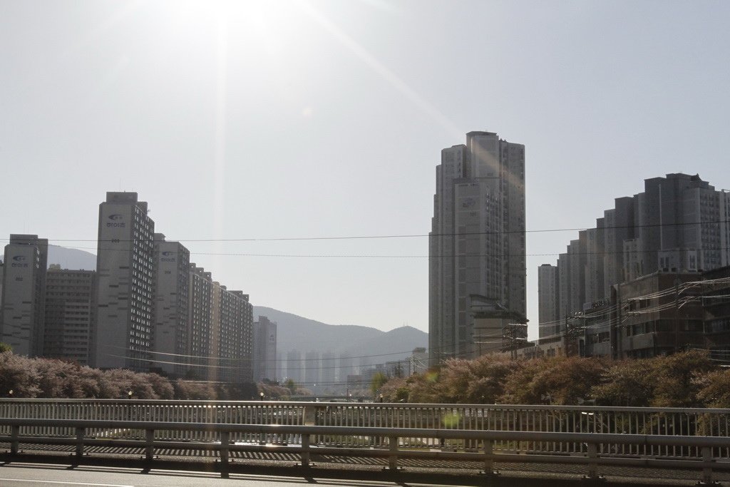 _MG_0966_調整大小.JPG