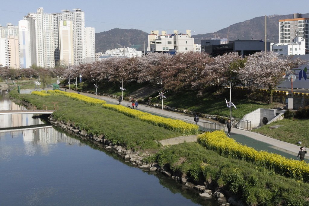 _MG_0965_調整大小.JPG