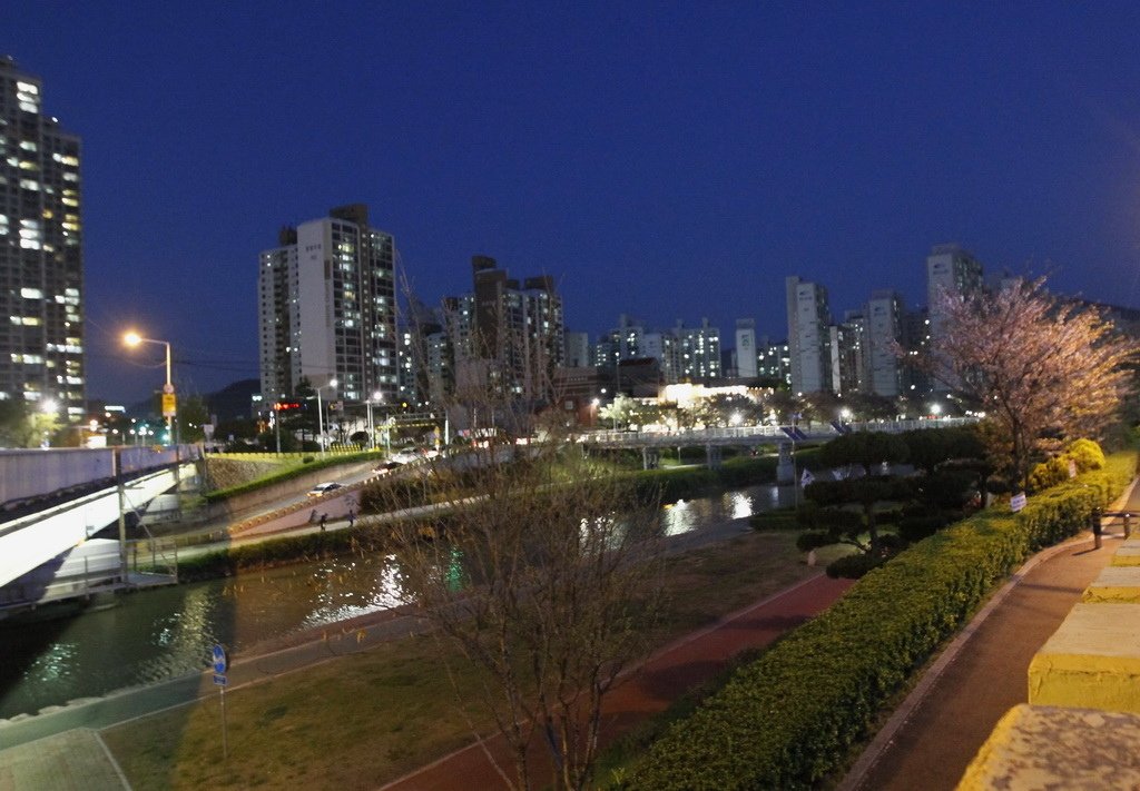 _MG_0939_調整大小.JPG