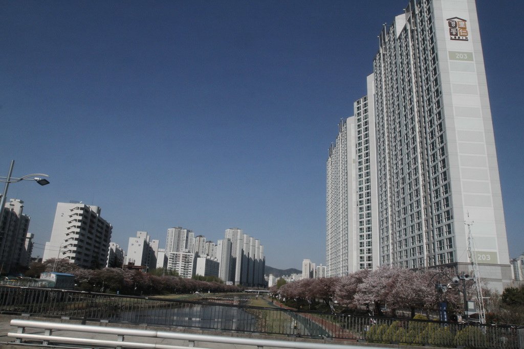 _MG_0057_調整大小.JPG