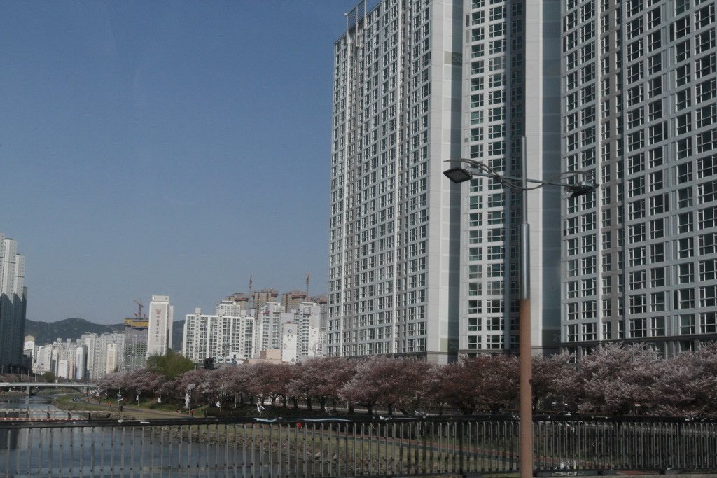 _MG_0054_調整大小.JPG