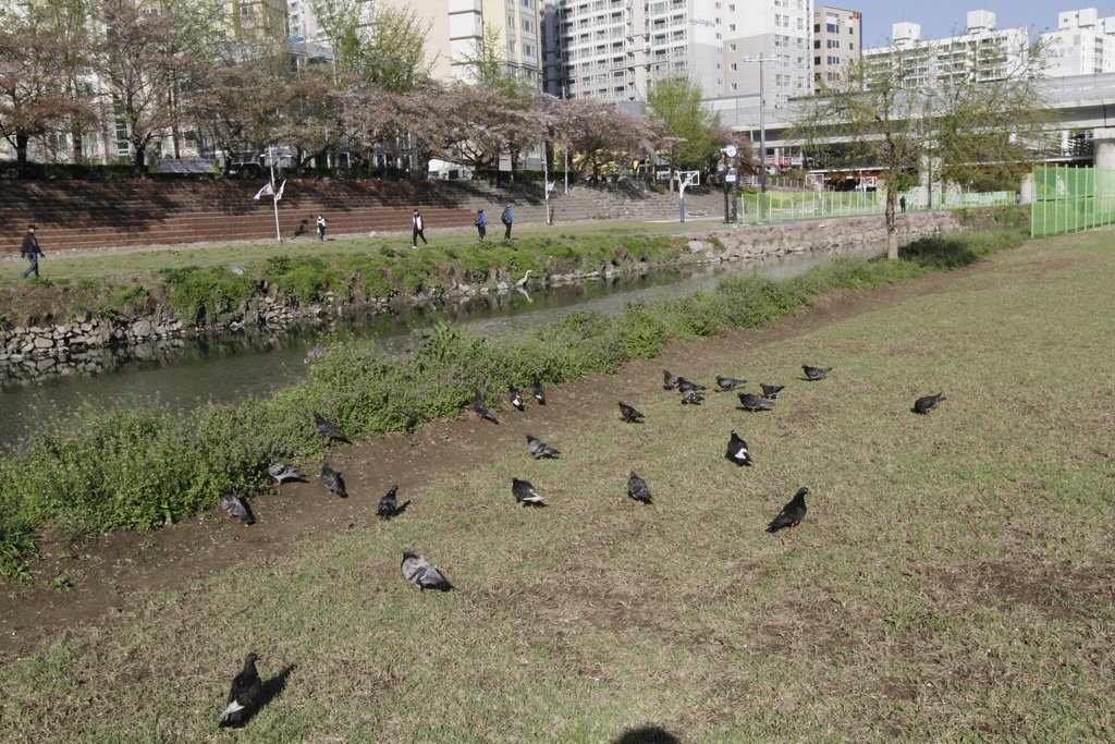 _MG_0007_調整大小.JPG