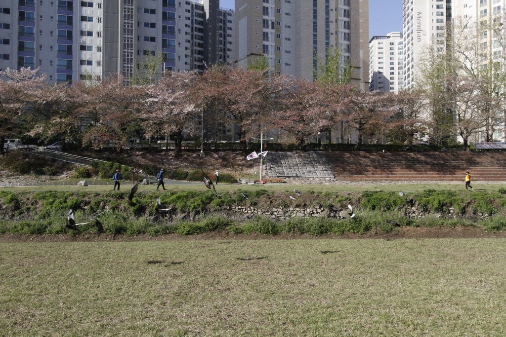 _MG_0004_調整大小.JPG