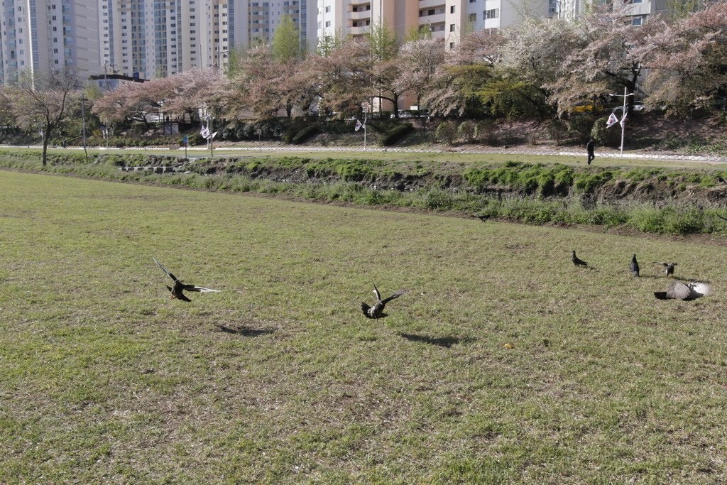 _MG_0005_調整大小.JPG