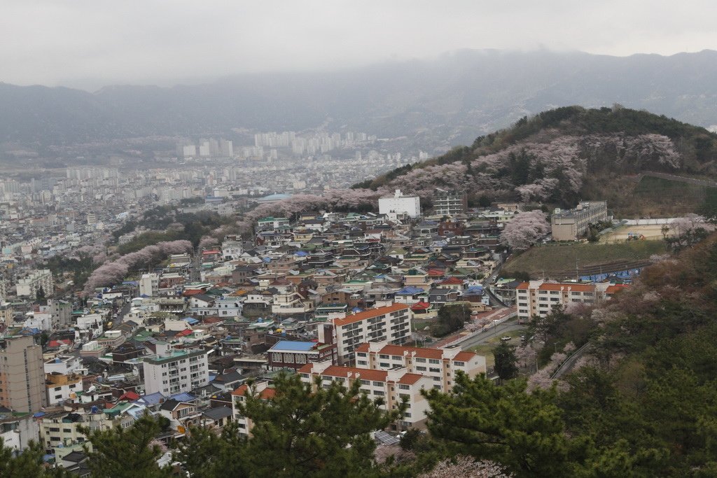 _MG_1646_調整大小.JPG
