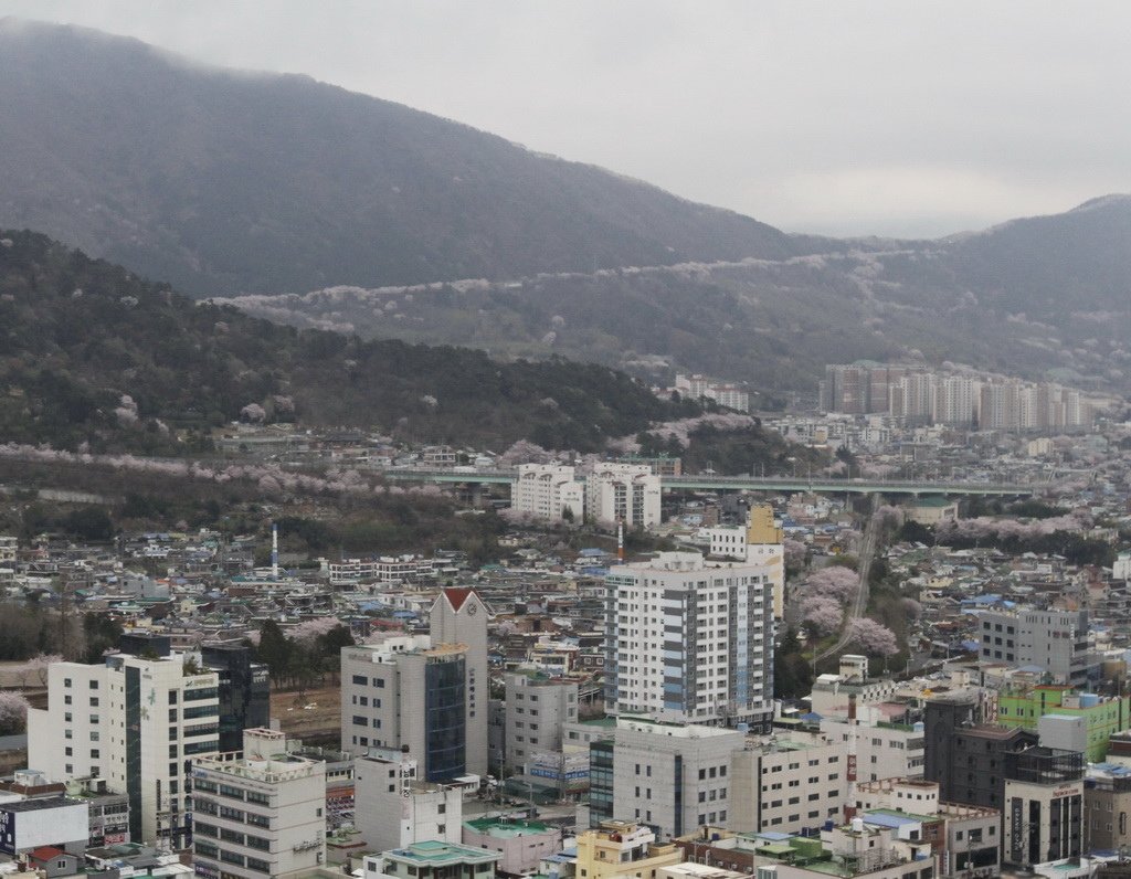 _MG_1642.JPGa_調整大小.JPG