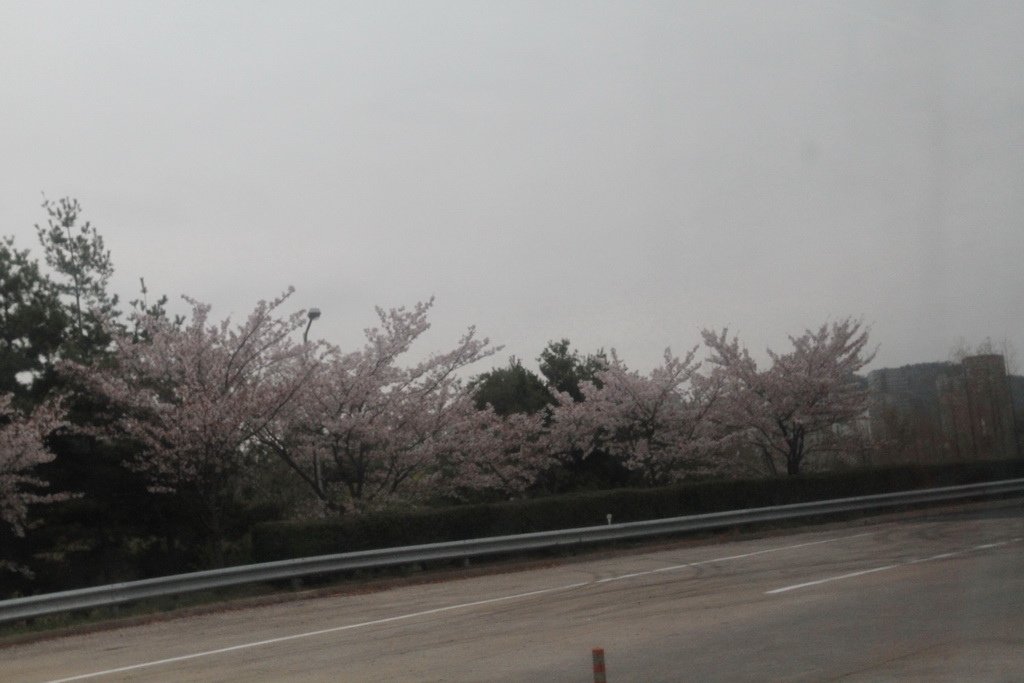 _MG_1721_調整大小.JPG