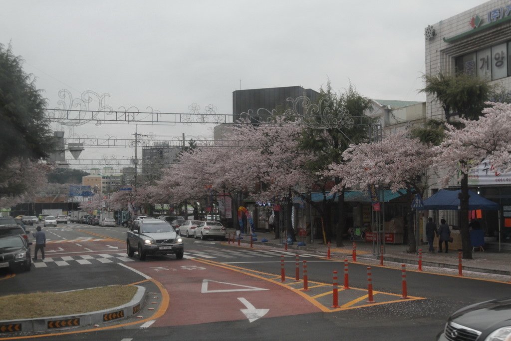 _MG_1693_調整大小.JPG