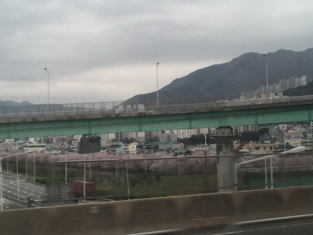 IMG_4740_調整大小.JPG