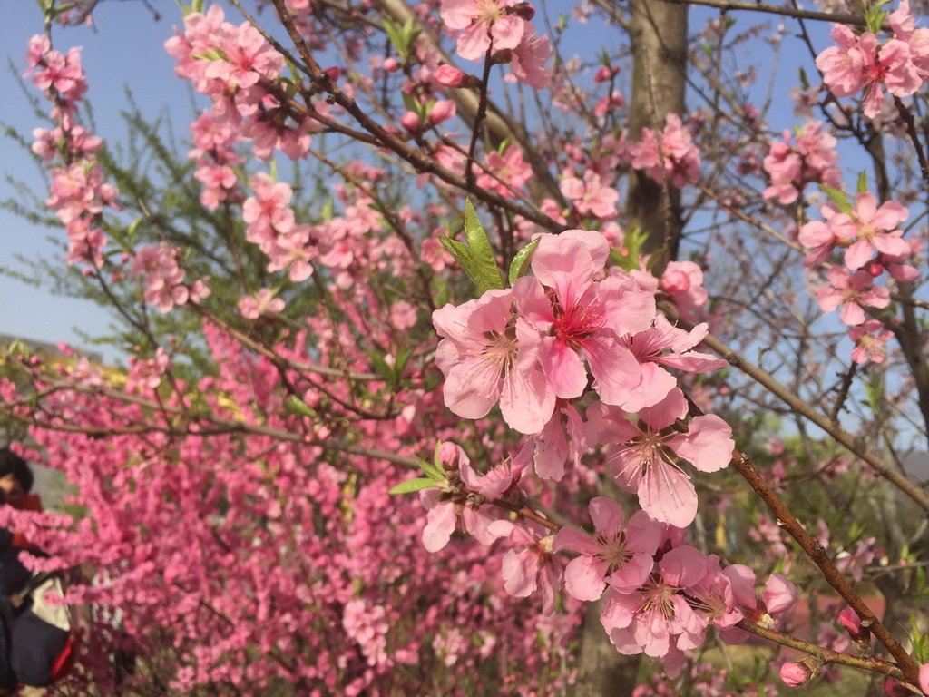 IMG_5012_調整大小.jpg