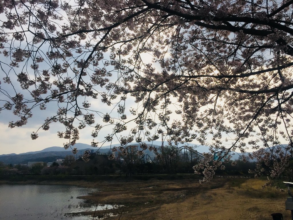 IMG_5258_調整大小.jpg