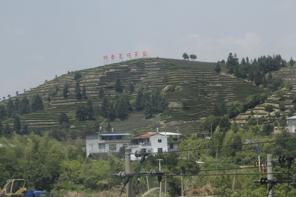 _MG_1005_調整大小.JPG