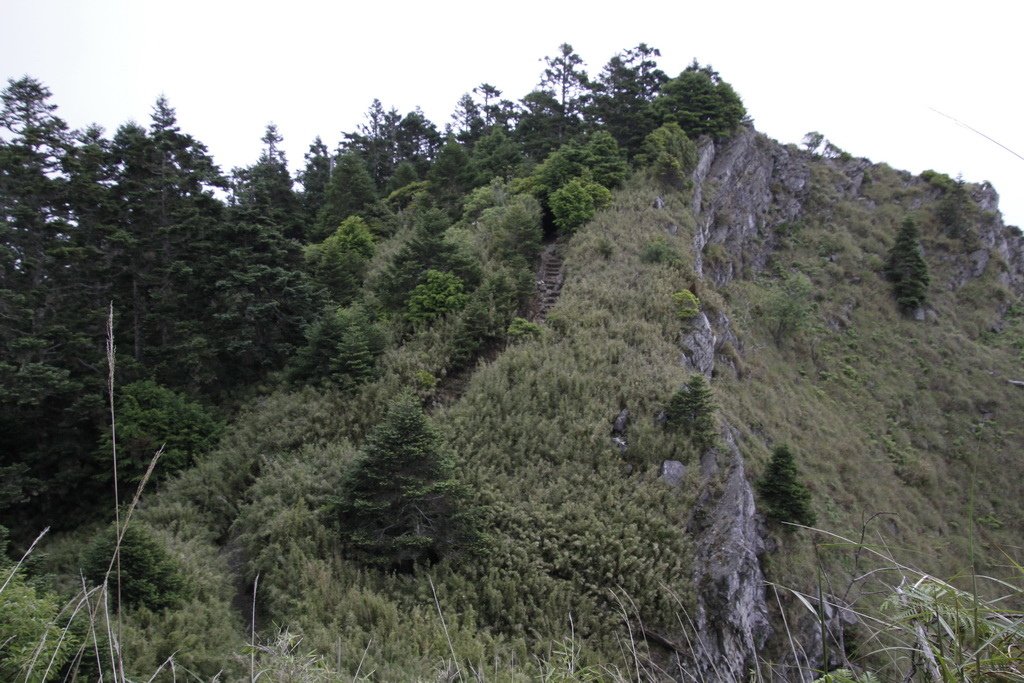 _MG_0283_調整大小.JPG