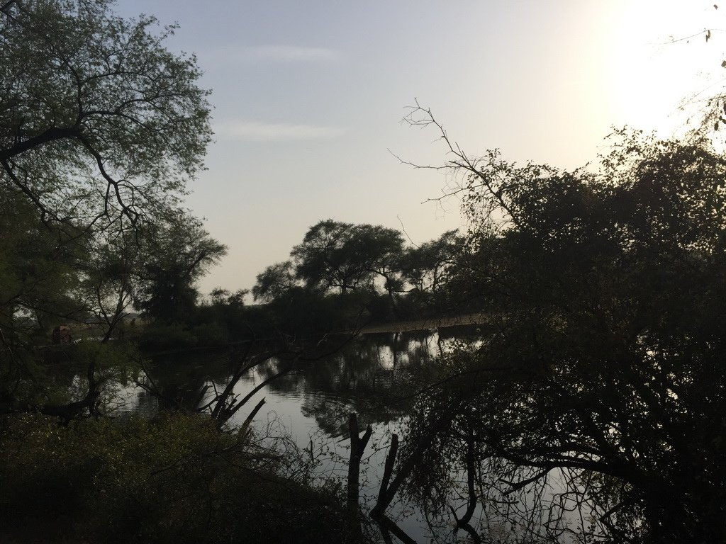 IMG_1989_調整大小.JPG