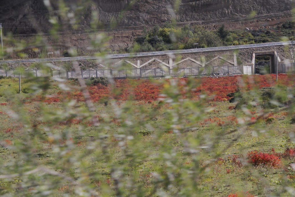 _MG_1612_调整大小.JPG