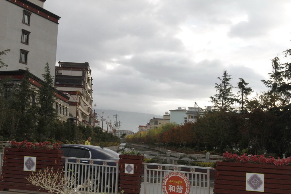 _MG_0181_调整大小.JPG