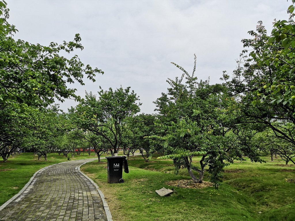 IMG_20190402_112854_调整大小.jpg