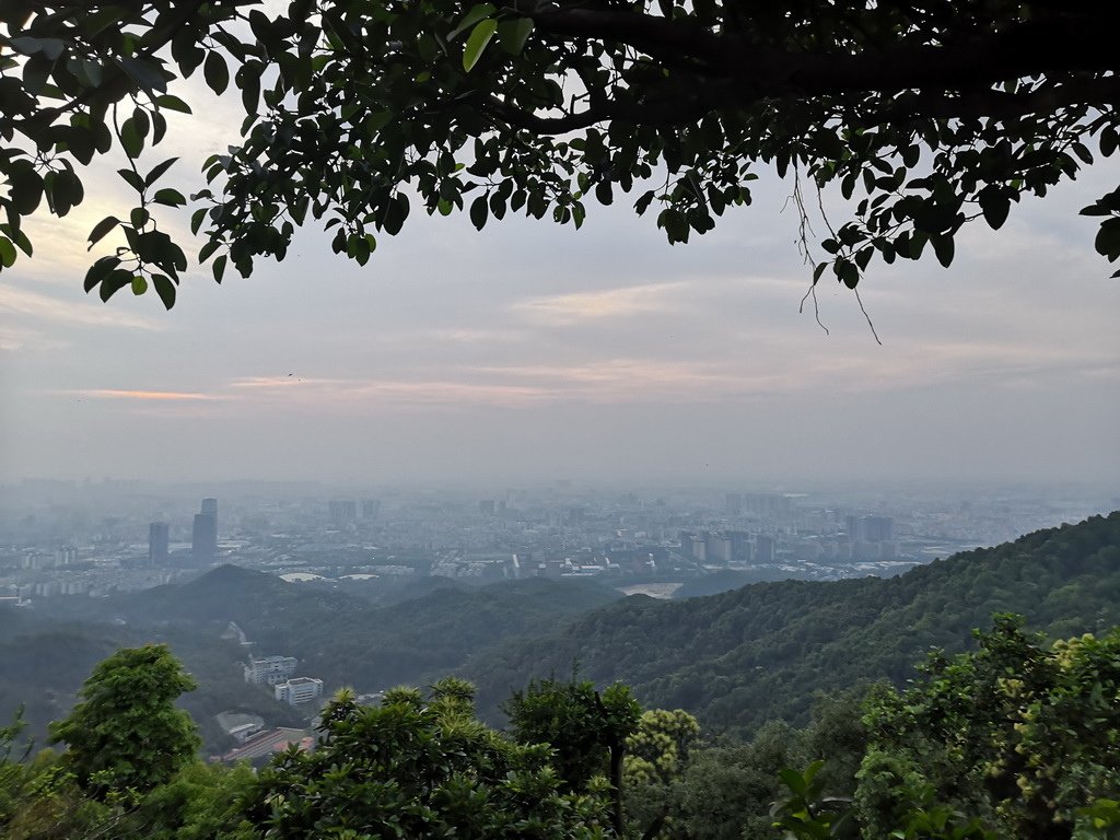 IMG_20190405_181511_调整大小.jpg