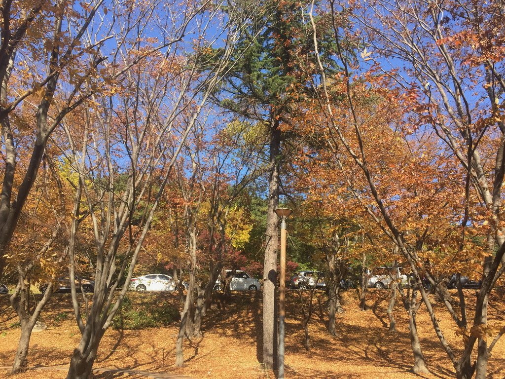 IMG_2435_調整大小.jpg