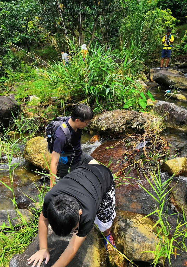 IMG_20190706_133415_调整大小.jpg