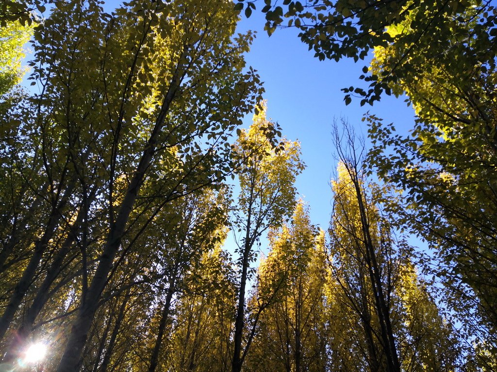 IMG_20191003_081940_调整大小.jpg