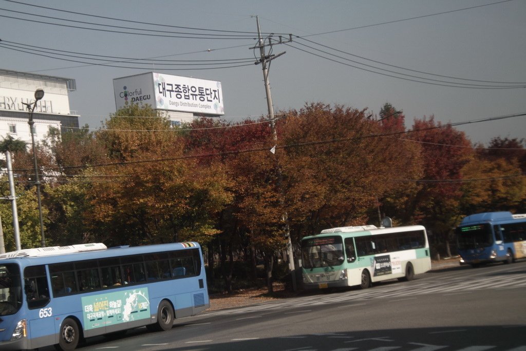 _MG_0065_调整大小.JPG